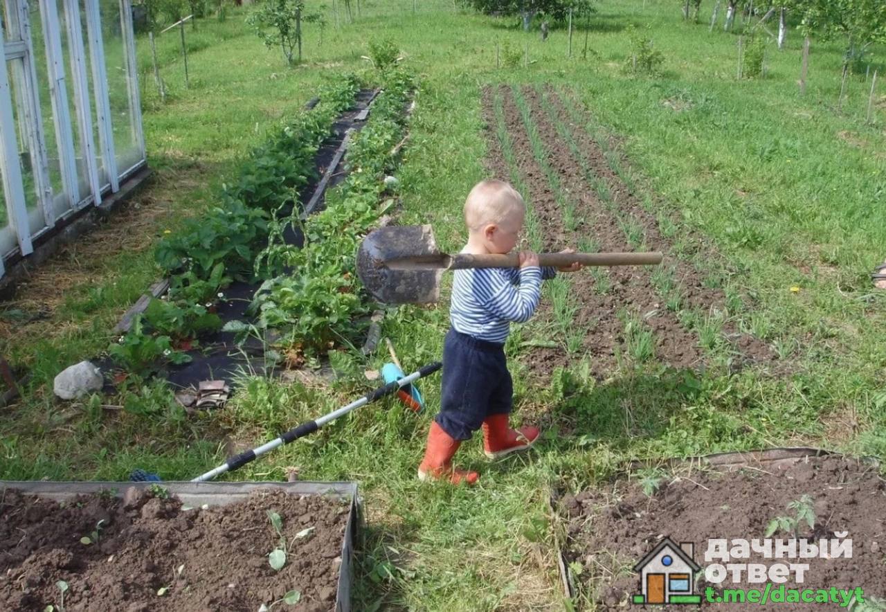Почему нельзя в огороде. Копать огород. Огород для детей. Копать грядки. Копаем грядка на огороде.