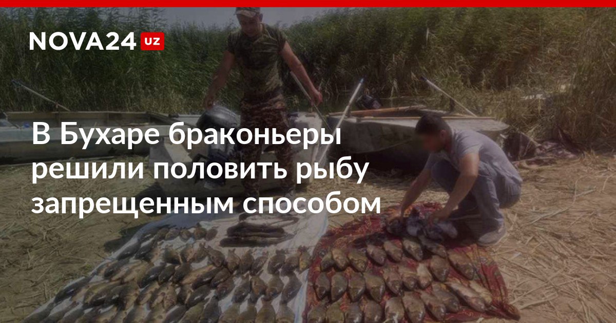 Запрещенная в рыба в Дагестане. Запрещенные средства лова рыбы. Как решить браконьерство. Запрет на рыбу в белоруссии