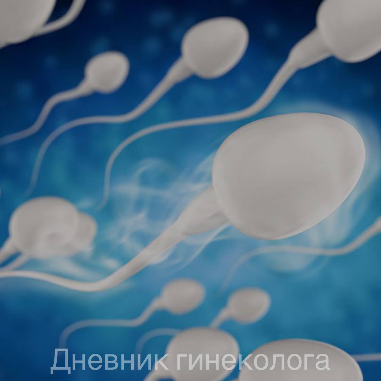 мужская сперма для женского здоровья фото 25