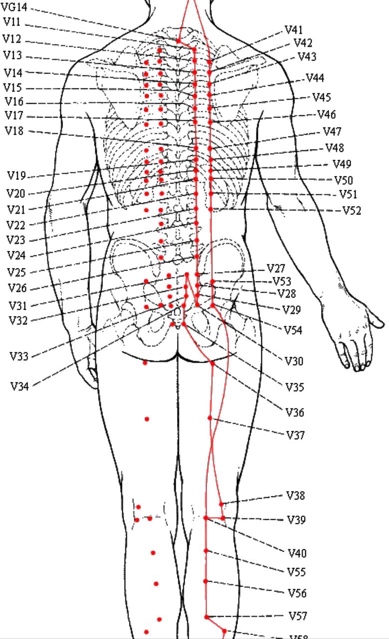 Точки для иглоукалывания на всем теле схема