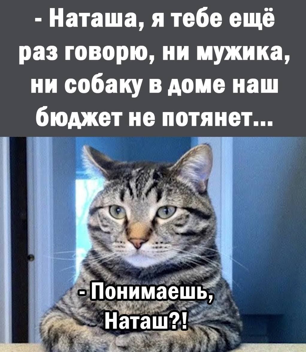 Публикация #8275 — bla_bla_borsch (@bla_bla_borsch)