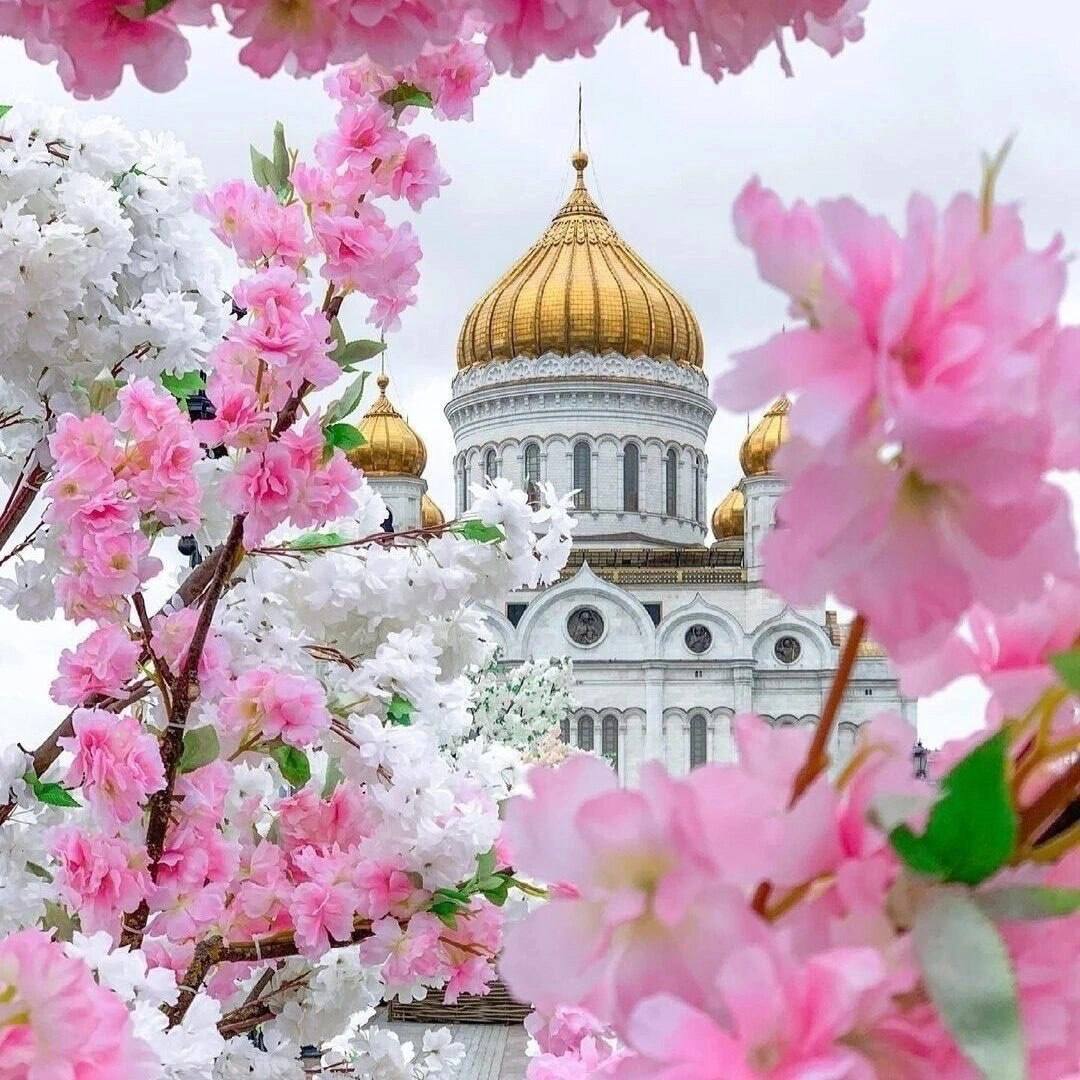 весна в городе москва