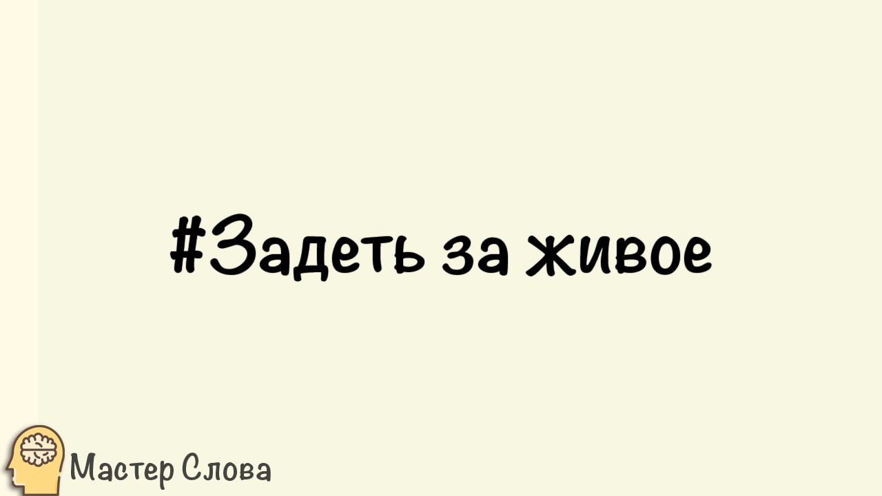 Слова задели за живое