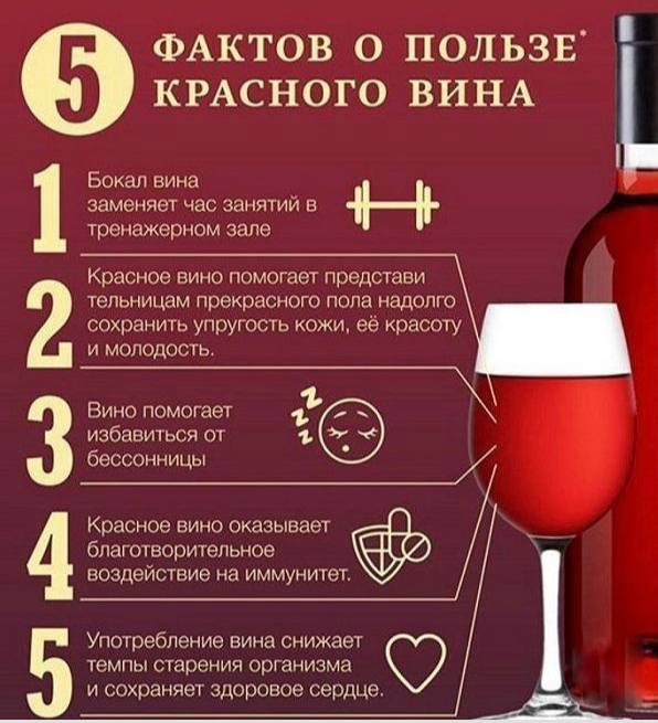 Как можно заменить алкоголь Post #4298 - Домашний доктор (6usEYCIBns41OGRi)