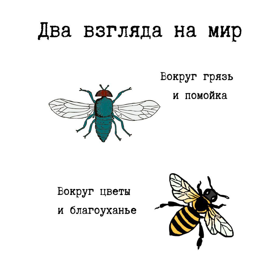 2 взгляда на мир