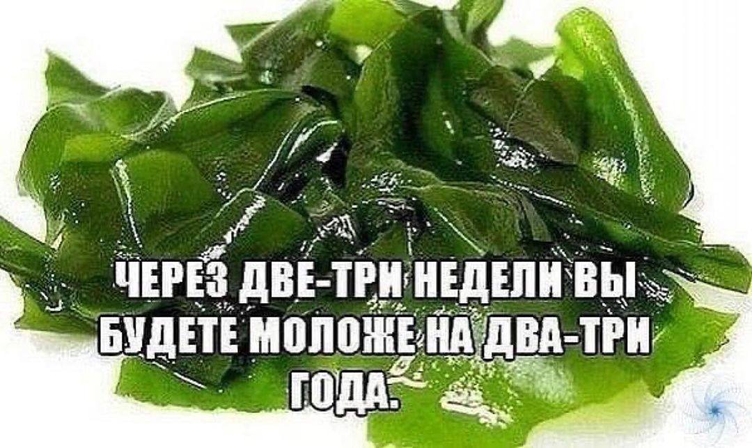 Приехали мем. Через две недели будем. Анекдоты про лукашенко. Когда закончились деньги. В школу через 2 недели.
