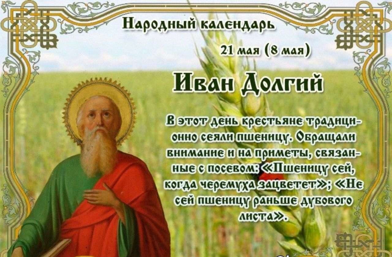 21 мая. Народный календарь 1 июня Иван долгий. 21 Мая день Иван Пшеничник. 21 Мая народный календарь. Иван долгий 21 мая.