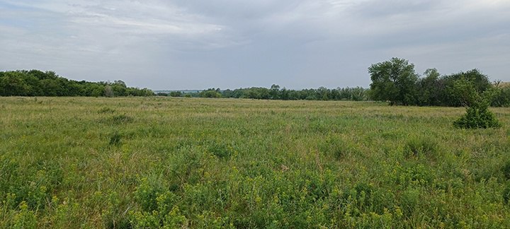 Татищево переволоцкий. Село Татищево Оренбургская область.