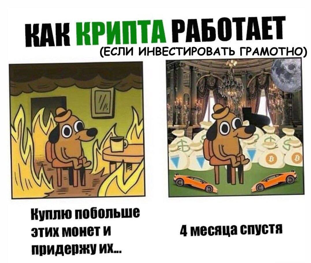 Крипта крипта много крипты давай еще мем