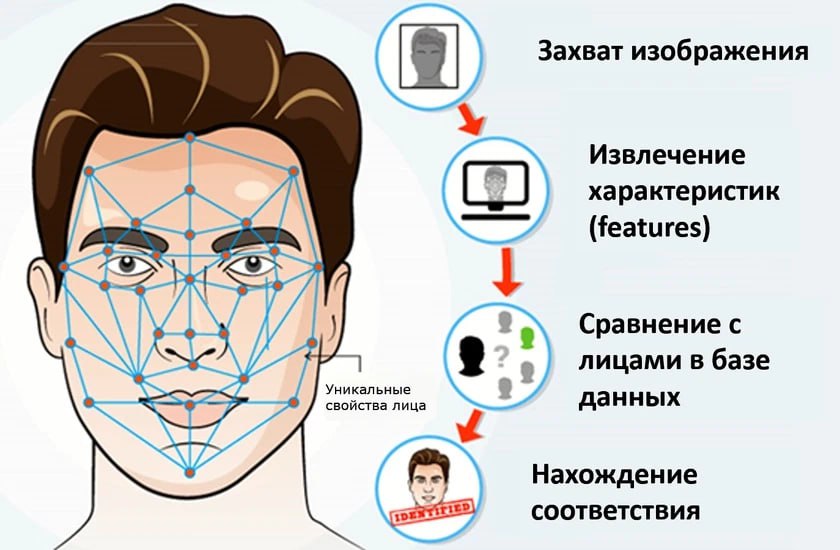 Сколько делается биометрия. Система распознавания лиц. Схема распознавания лиц. Биометрическая система распознавания лиц. Биометрия и распознавание лиц.