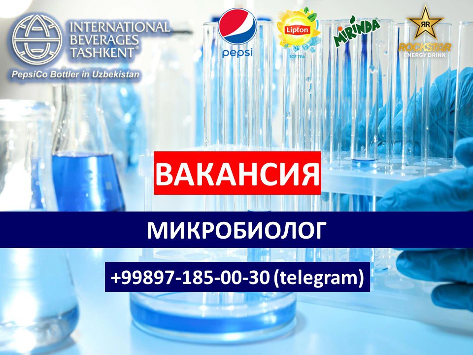 Ооо интернейшнл. International Beverages Tashkent. "International Beverages Tashkent" MCHJ XK. International Beverages Tashkent logo. Aion Beverages Ташкент ООО.
