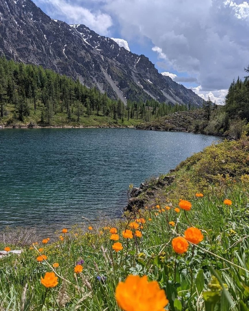 Красоты алтая фото летом