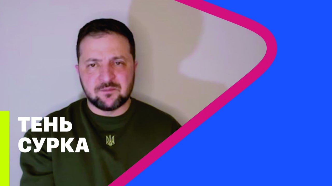 Билл мюррей день сурка. Сурок силуэт. Сурок фил из панксатони. Тень сурка. Сурок-байбак.