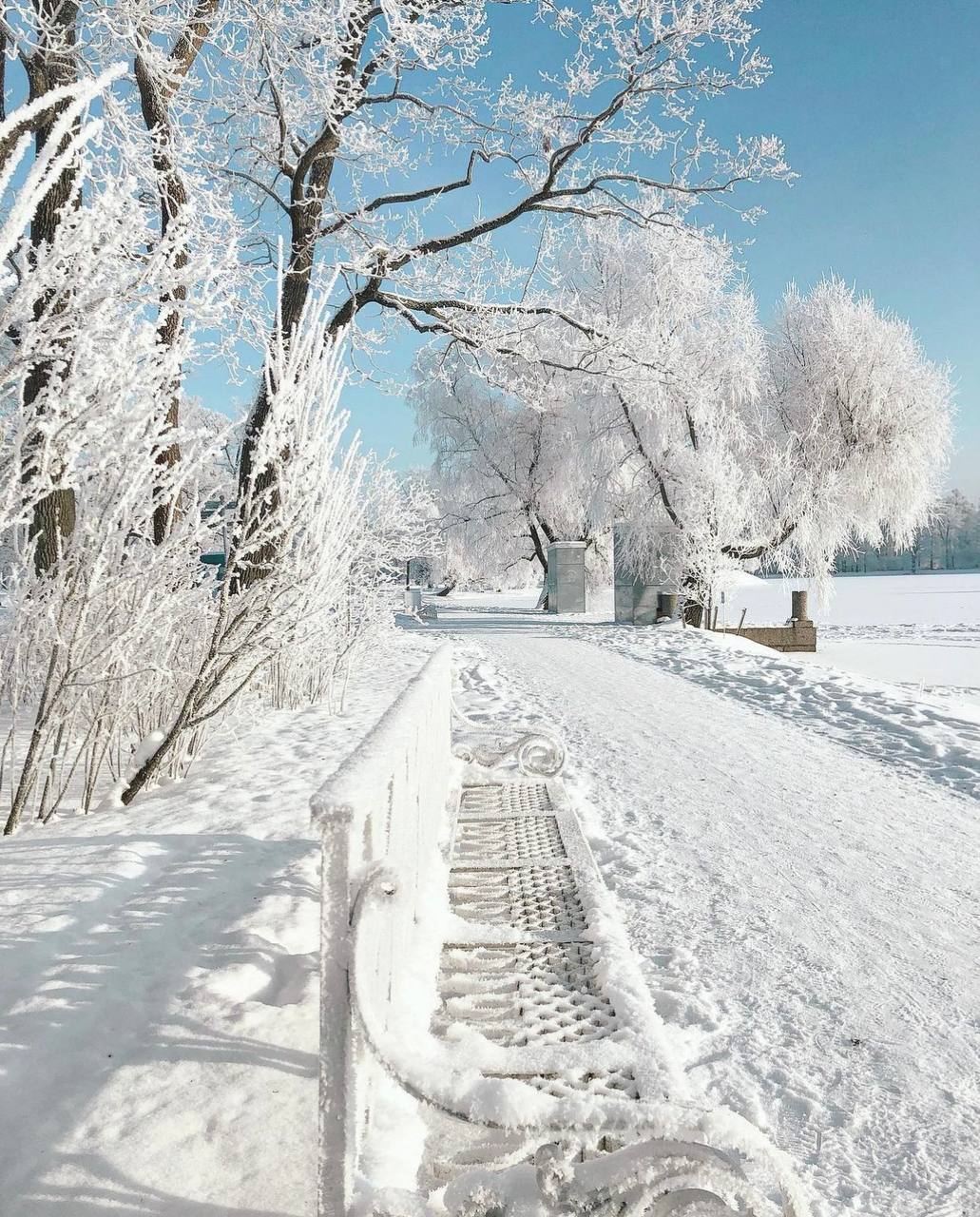 екатерининский парк зимой