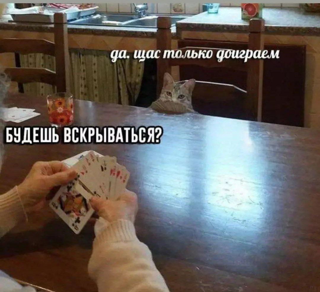 жукова цветные сказки от тети инны. бесконечное лето лена мемы. давай вскроемся. лена бл вскрываемся. лена бесконечное лето вскрылась.