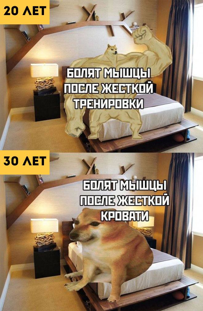 Самый смешной мем 2023