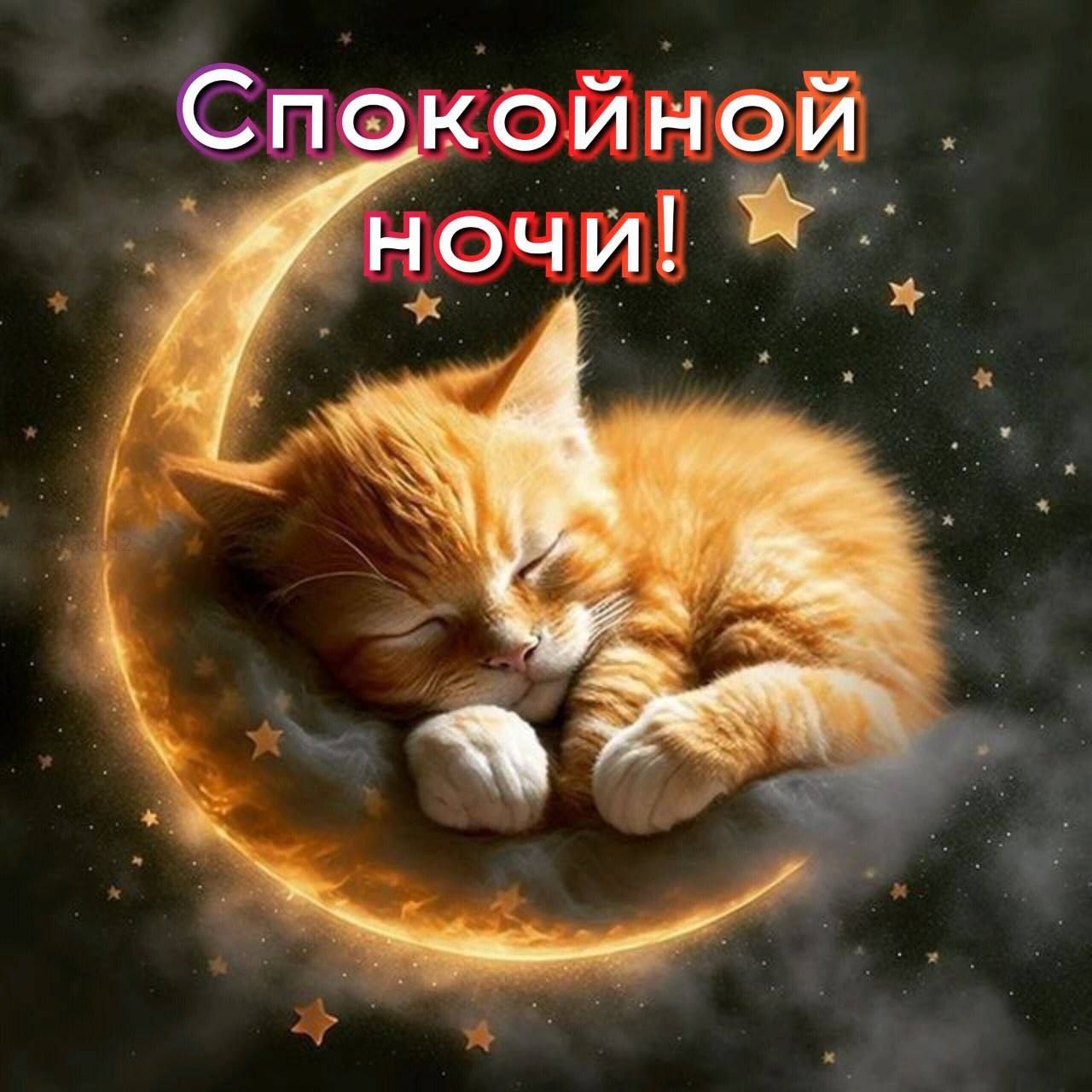 Спокойной ночи милые картинки
