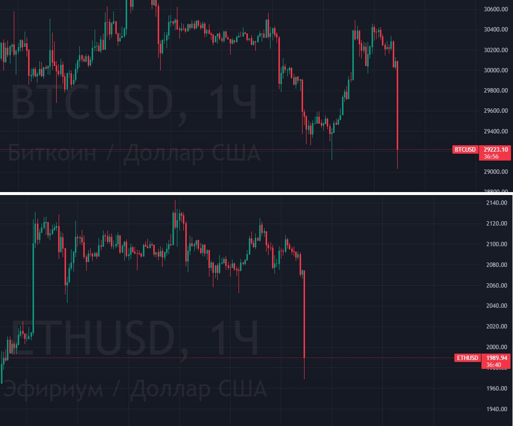 Memefi spills the tea for crypto newbies. Memefi spills the tea for crypto newbies