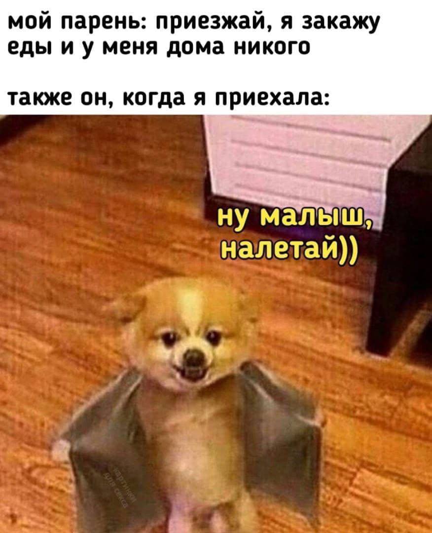 Публикация #1832 — 🔞 Пошлые | Картинки Порно мемы фото (@pornomemes_1)